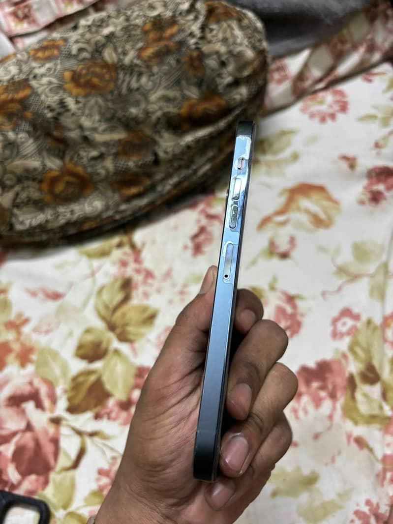 Apple iPhone 13 Pro Max 2