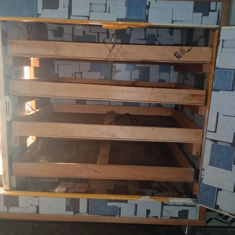 incubator 1