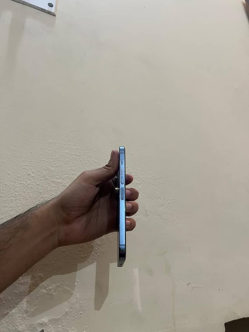 Apple iPhone 13 Pro Max 1
