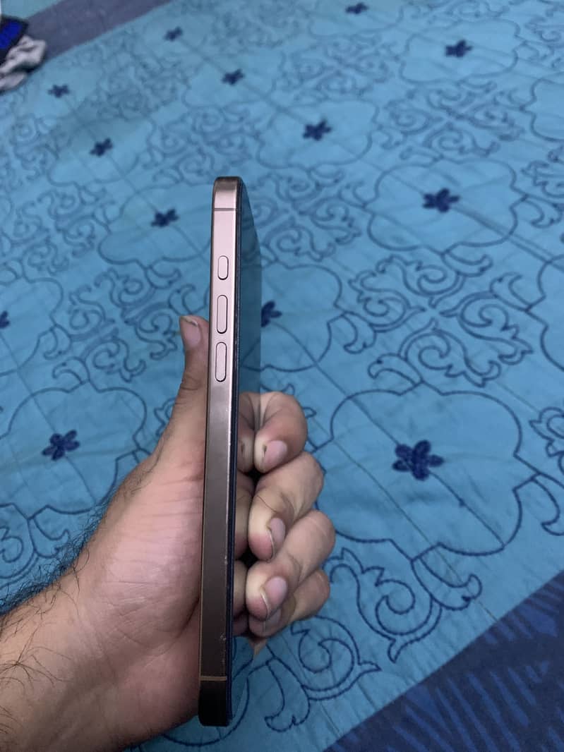 Apple iPhone 16 Pro Max 3
