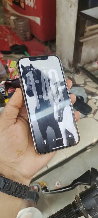 Apple iPhone 12 Pro Max