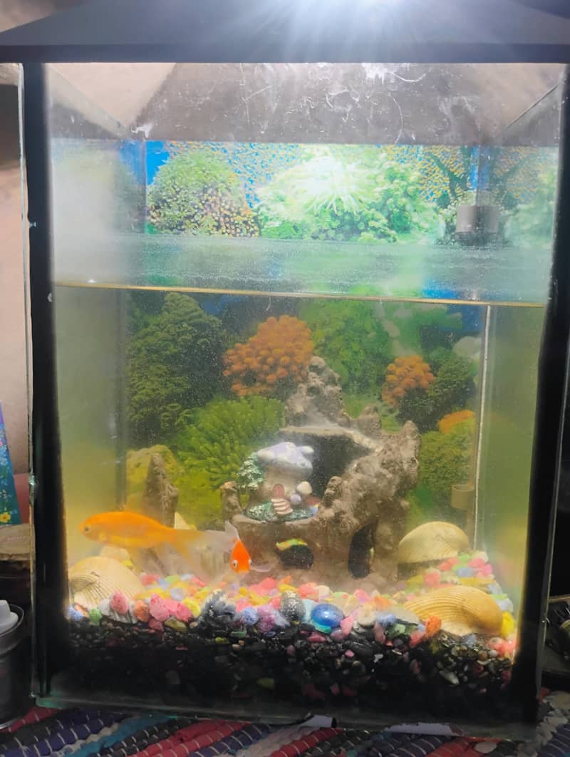 for sell 1
