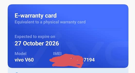 Vivo V60