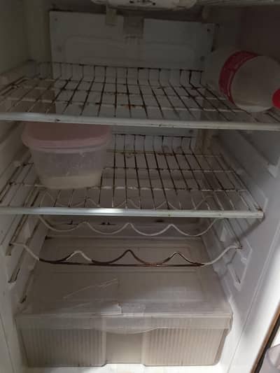 fridge