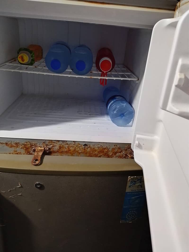 fridge 1