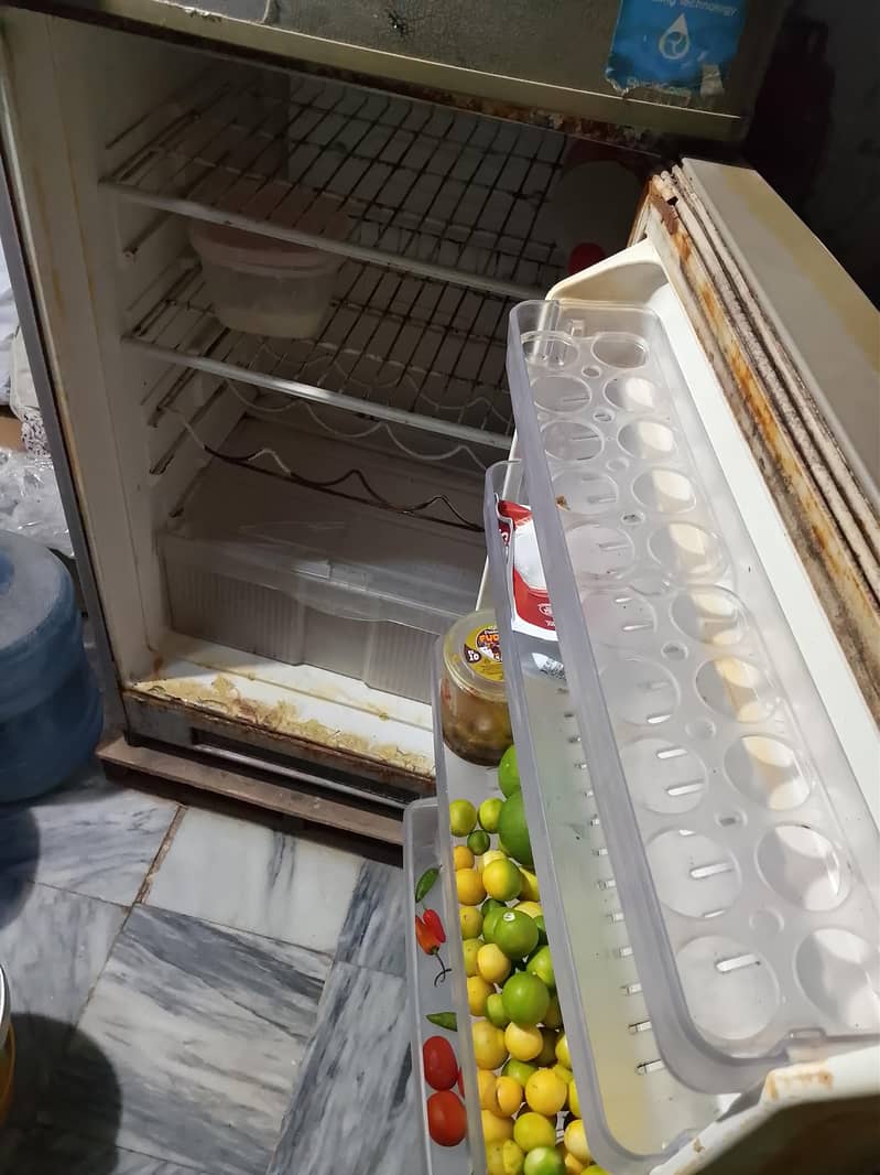 fridge 5