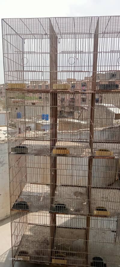 2 CAGES full size/8/12Course meal