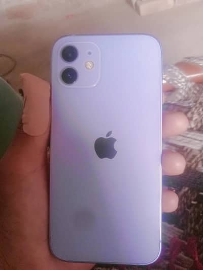 Apple iPhone 12