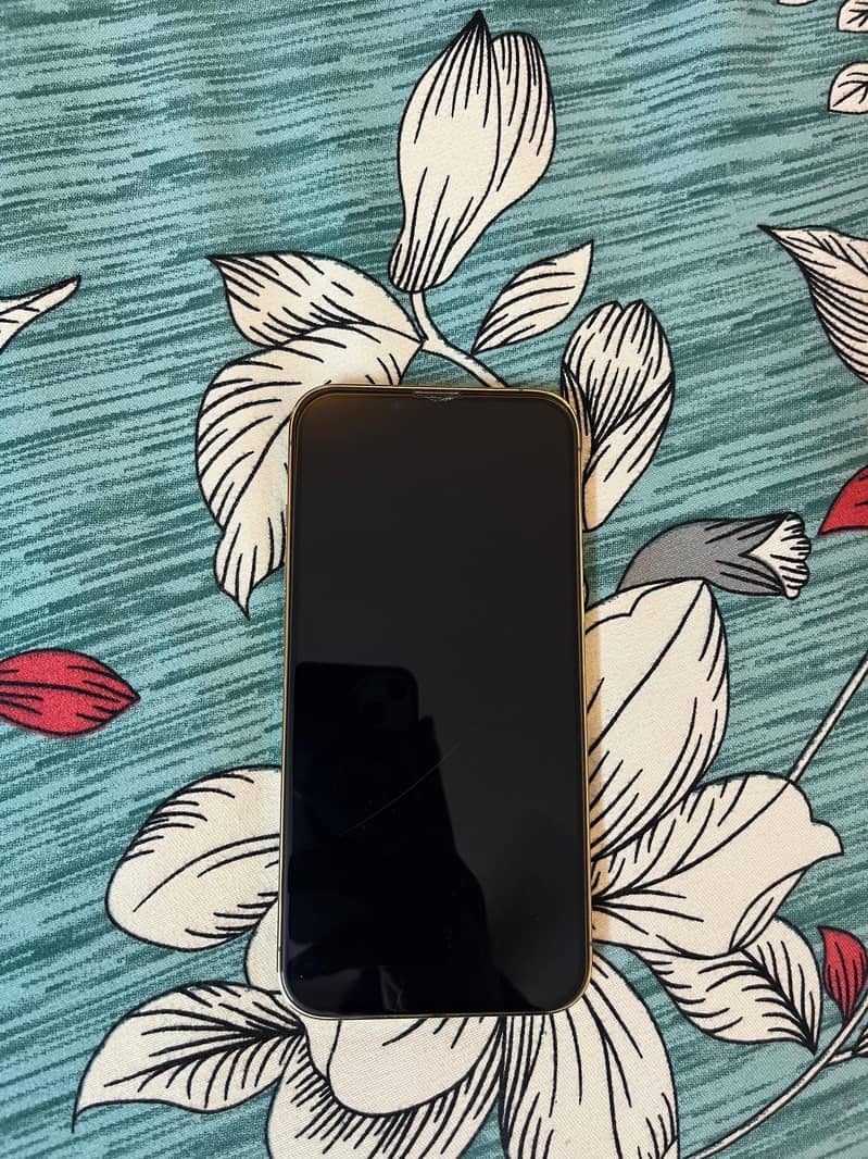 Iphone 13 pro 1