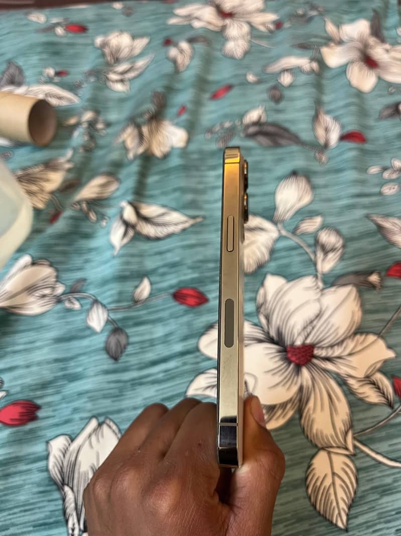 Iphone 13 pro 4