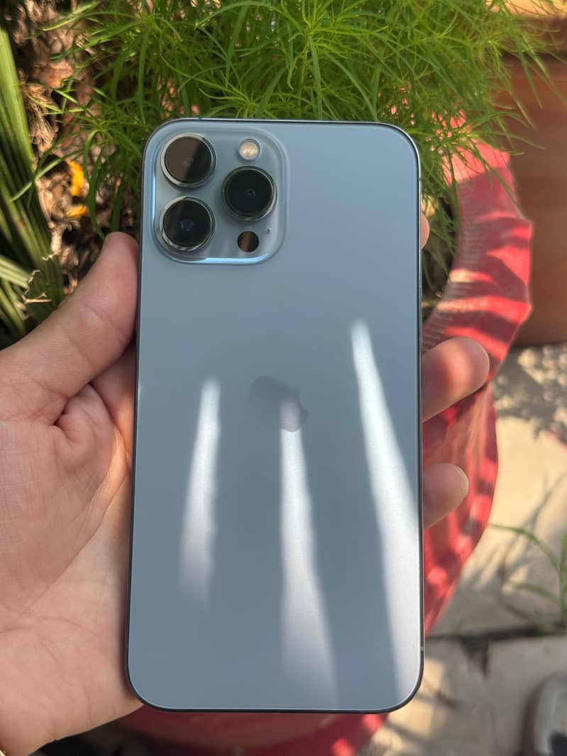 Apple iPhone 13 Pro Max 1