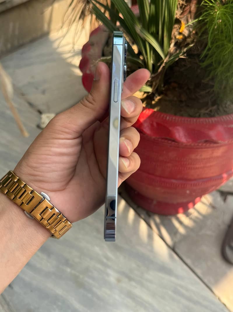 Apple iPhone 13 Pro Max 2