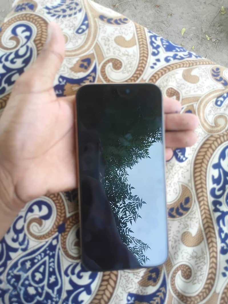 Apple iPhone 16 Pro Max 1