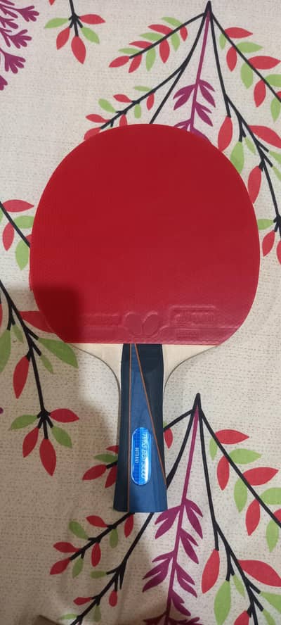 butterfly Timo ball 3000