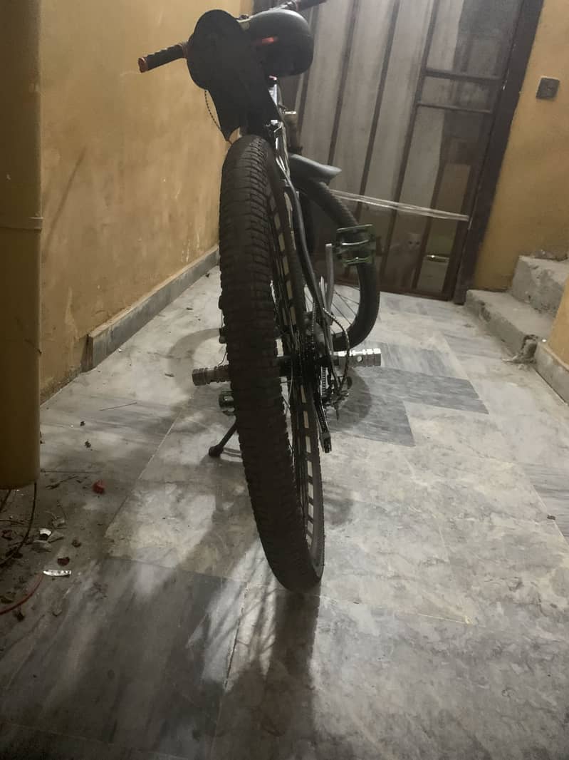 Mountain bicycle 1