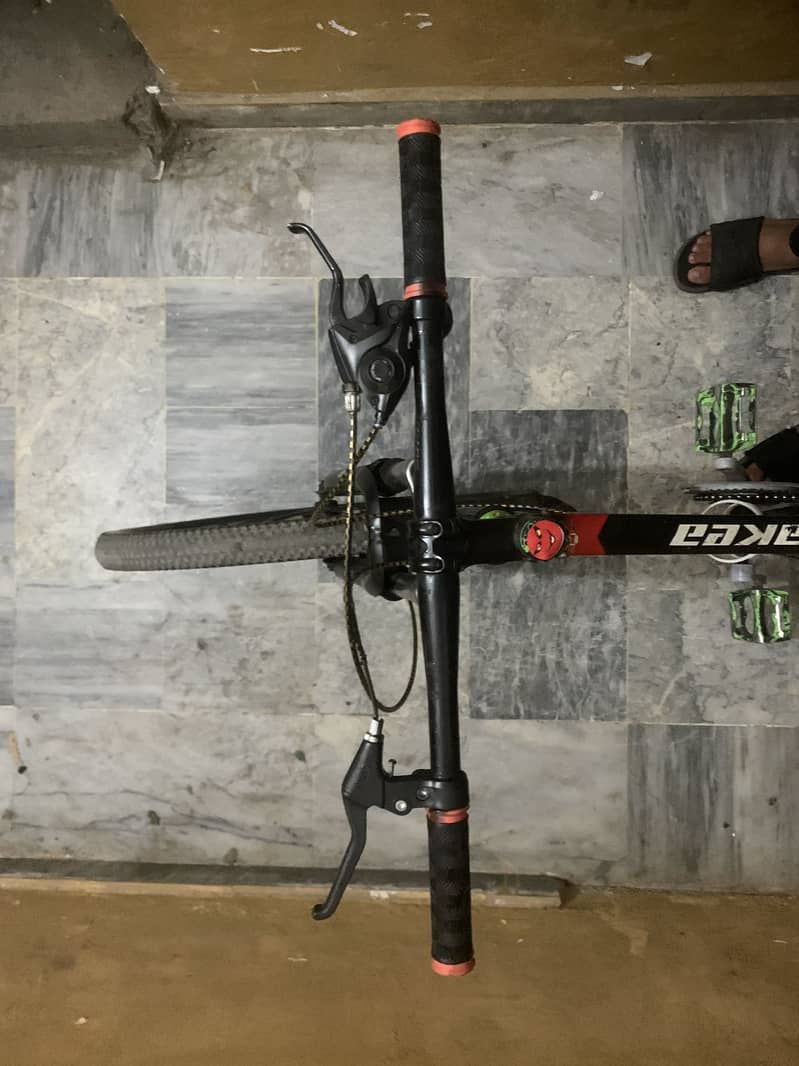 Mountain bicycle 2