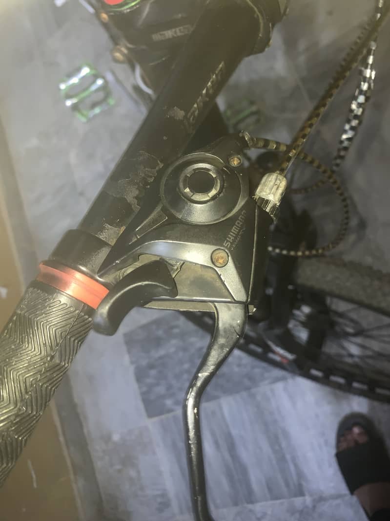 Mountain bicycle 8