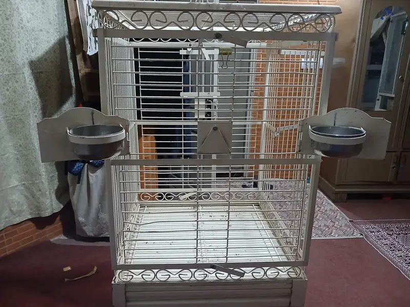 big parrot cage