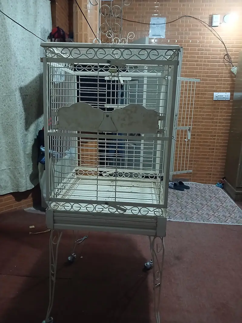 big parrot cage — photo 4
