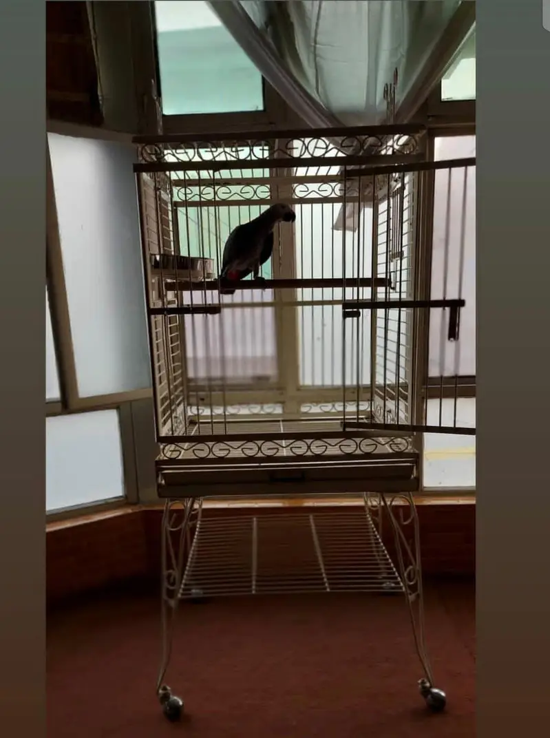 big parrot cage — photo 6