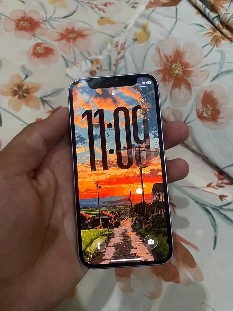 Apple iPhone 12 mini 1