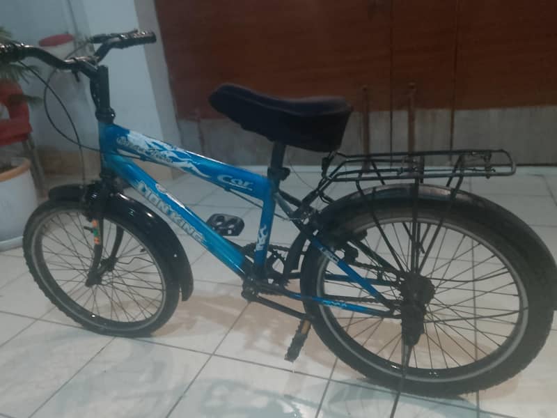 Bicycle 1