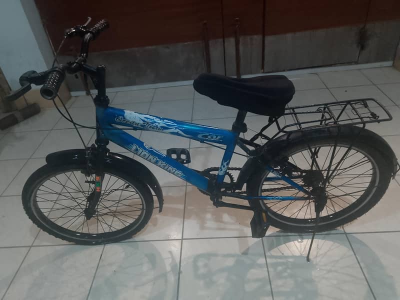 Bicycle 3