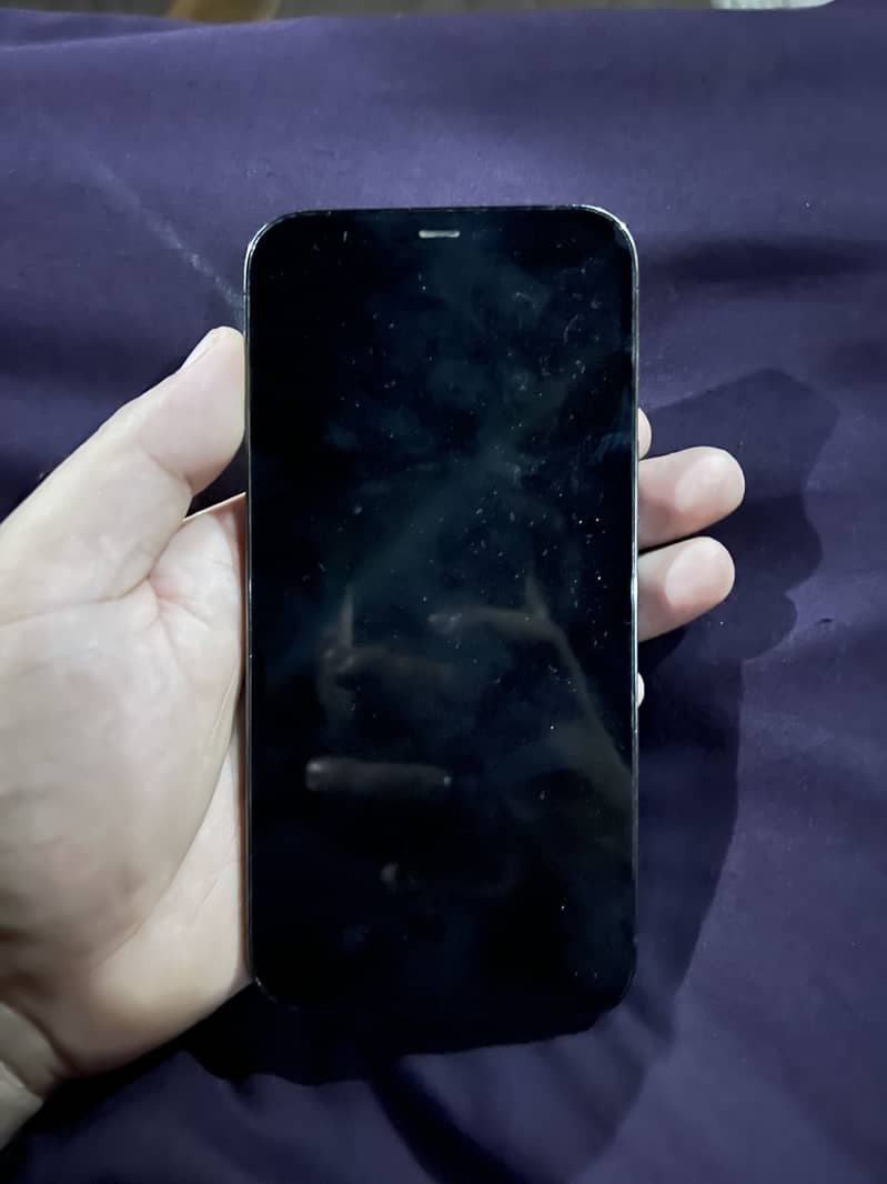 Apple iPhone 12 Pro Max 1