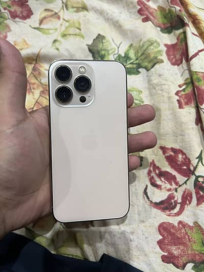 Apple iPhone 13 Pro