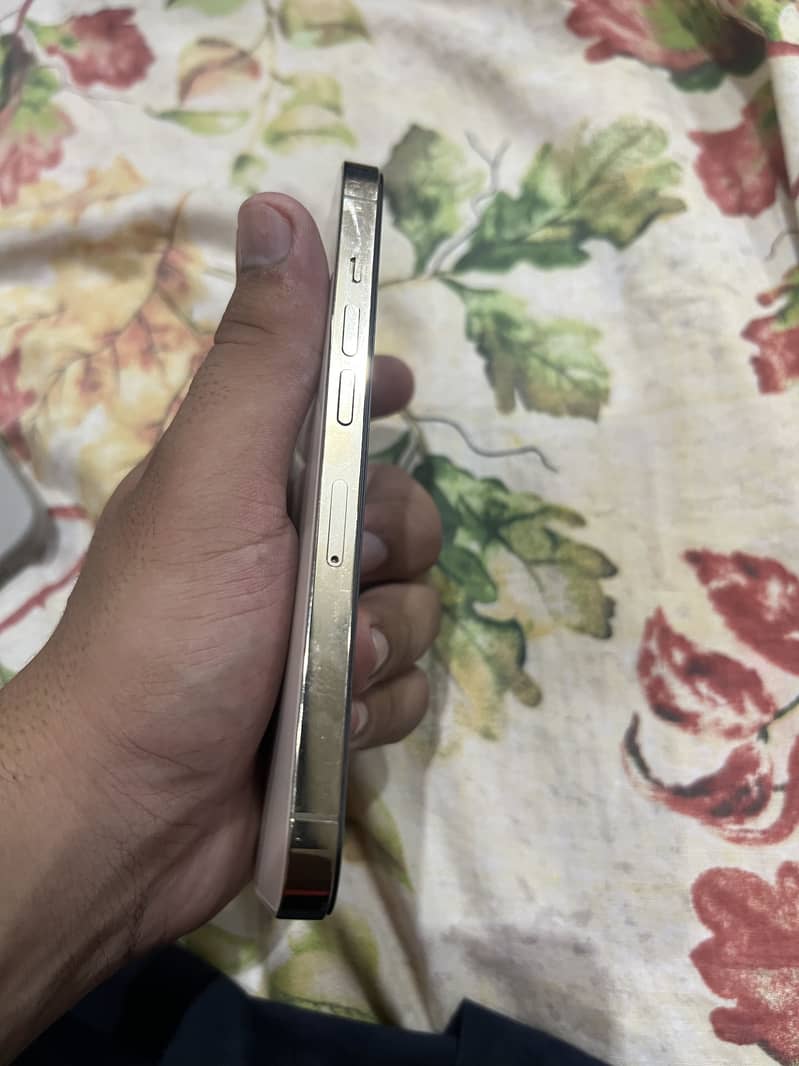 Apple iPhone 13 Pro 3