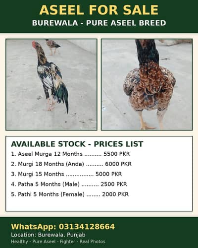 FOR sale BUREWALA