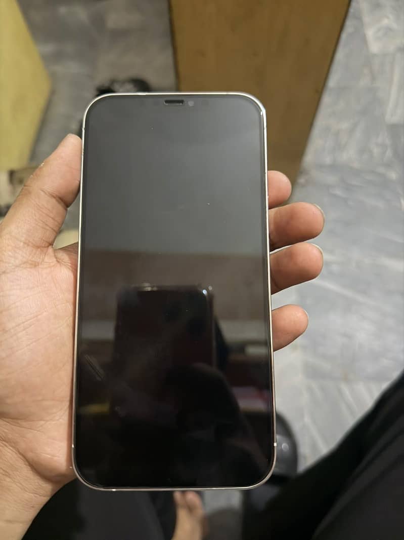 Apple iPhone 12 Pro Max 0