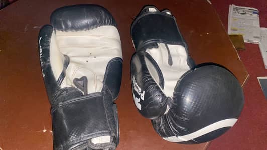 Used boxing gloves for sale argent
