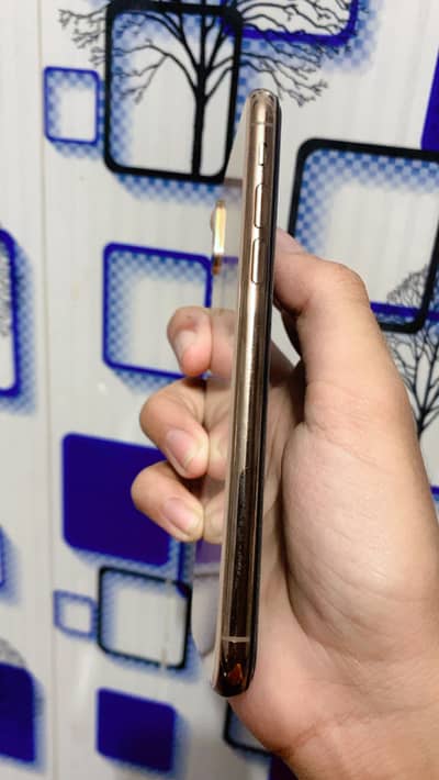 Apple iPhone XS