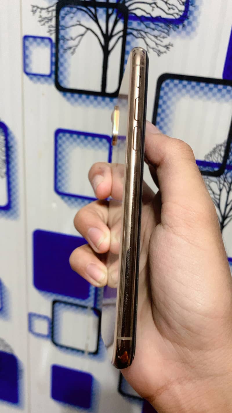 Apple iPhone XS 0