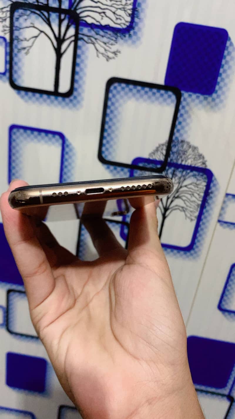 Apple iPhone XS 6