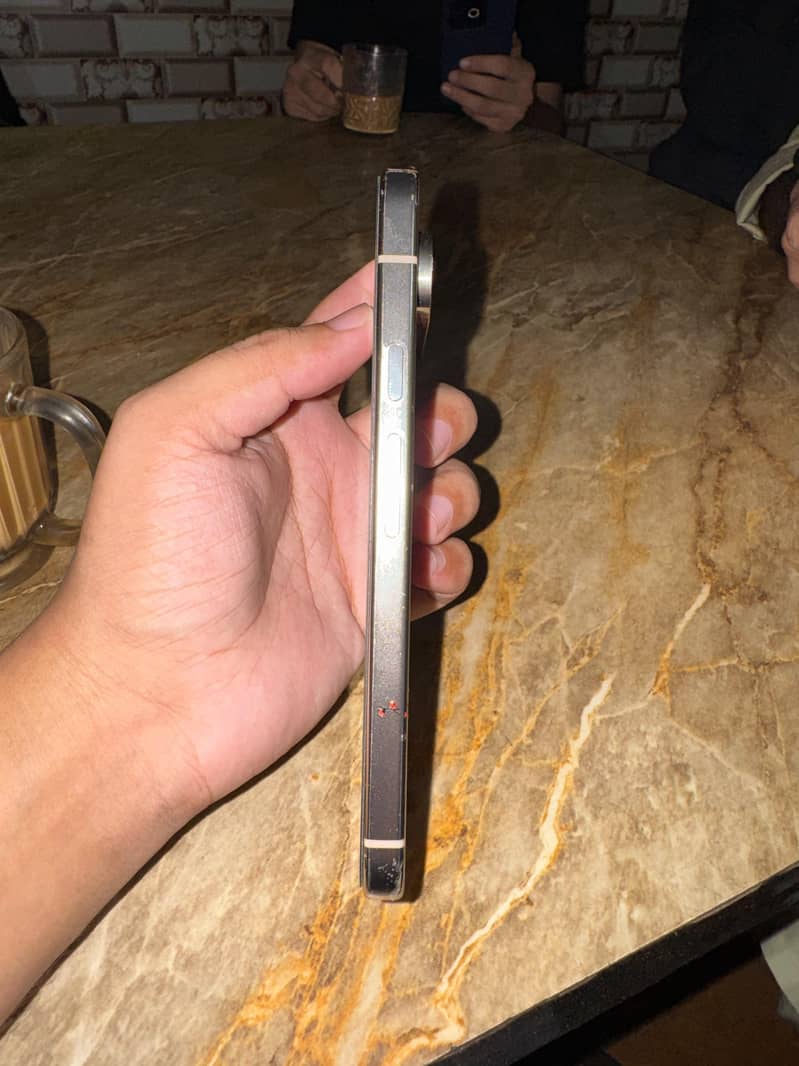 Google Pixel 9 Pro XL 1