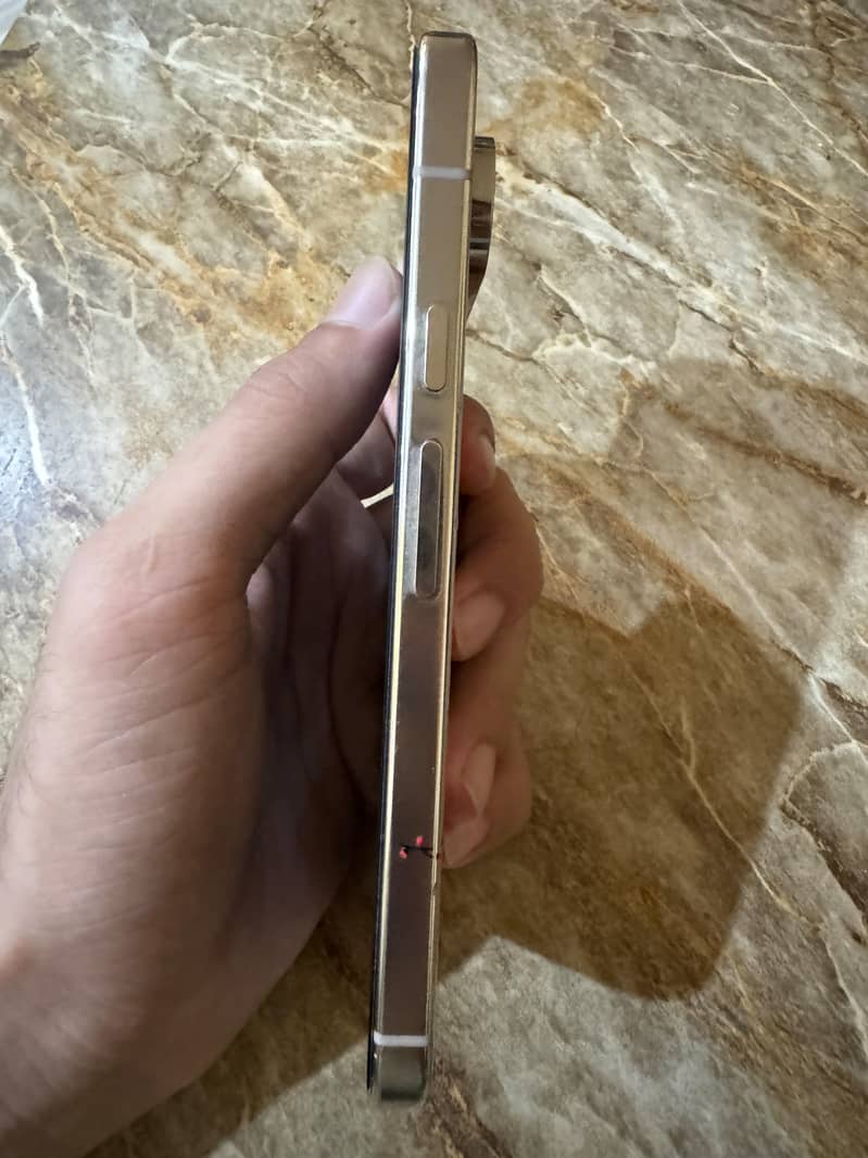 Google Pixel 9 Pro XL 4