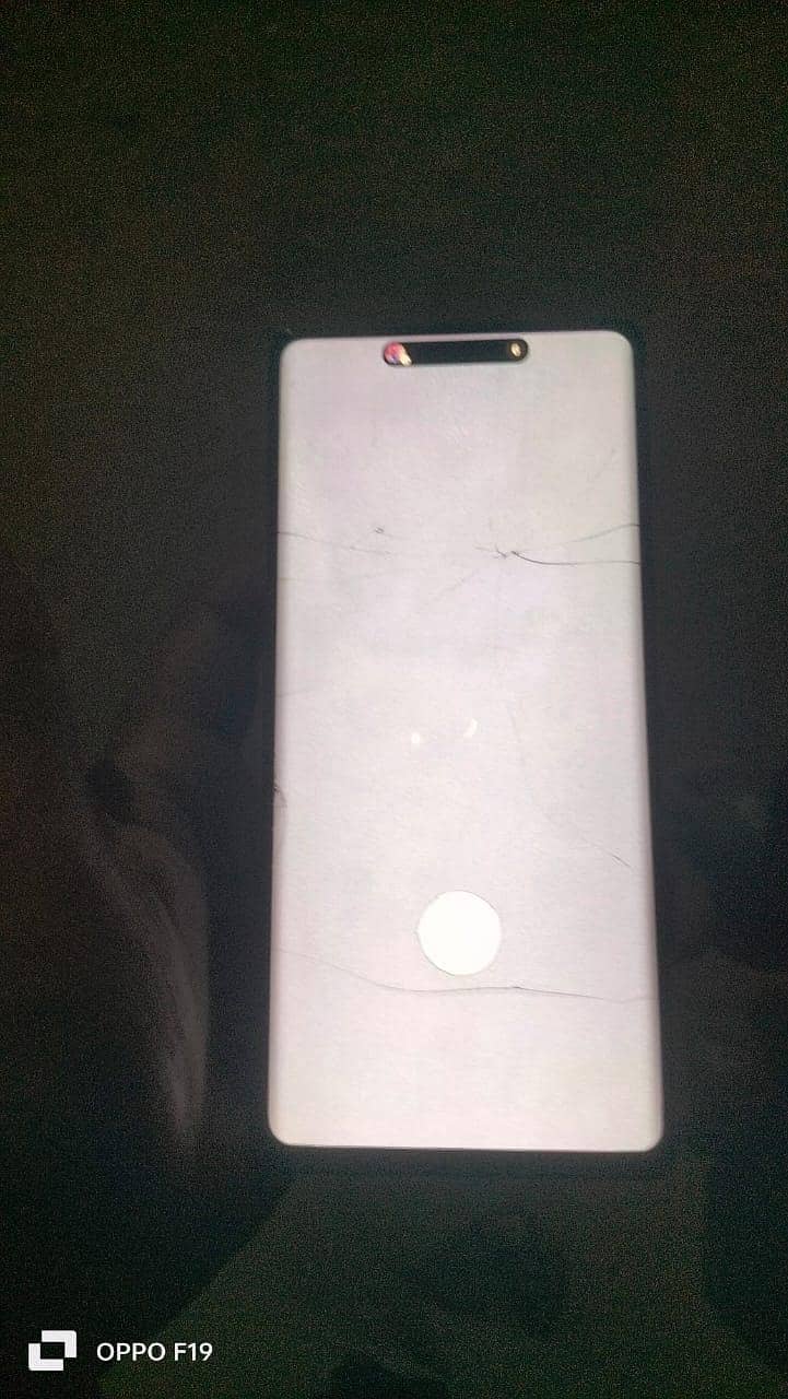 Google Pixel 6 Pro 1