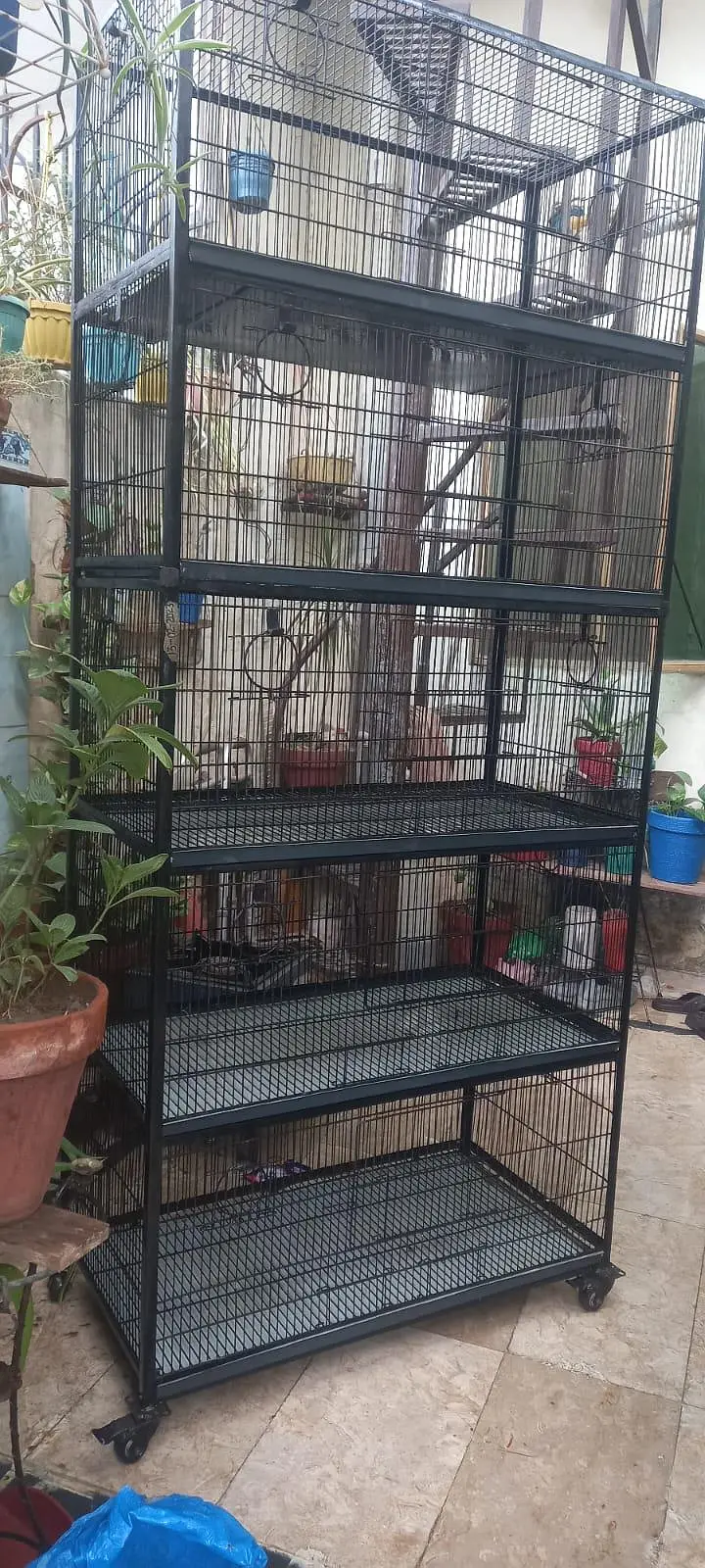 Bird Cage
