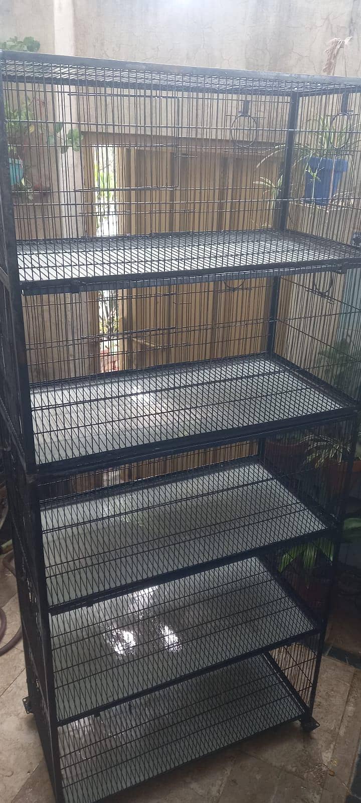 Cage پنجرہ 1