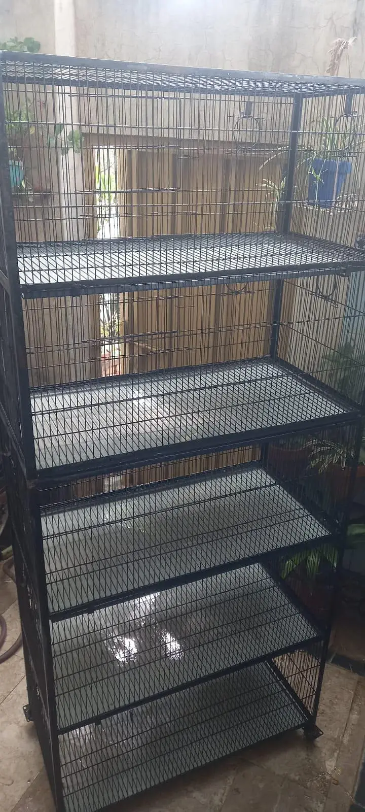 Bird Cage — photo 2