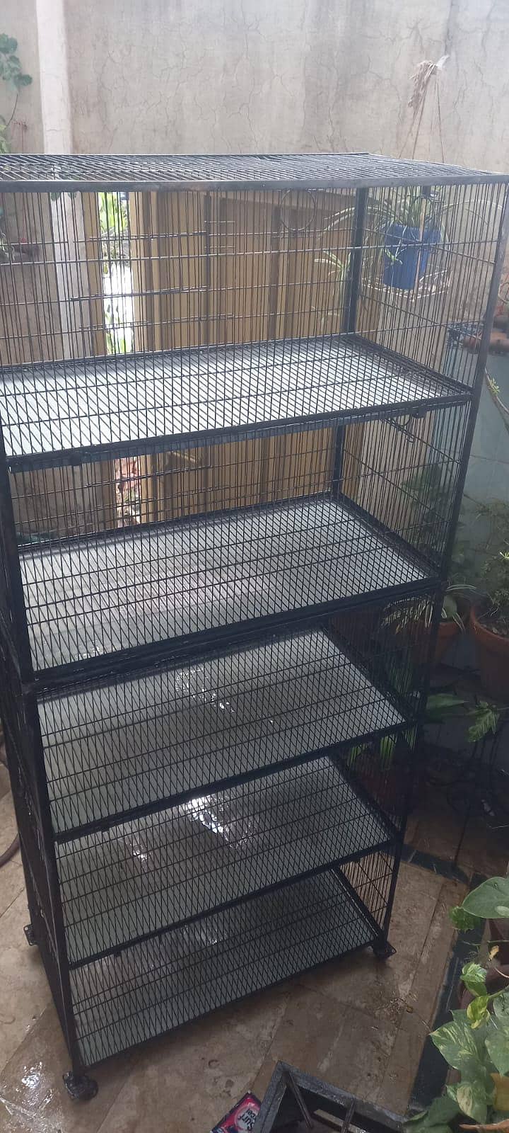 Cage پنجرہ 2