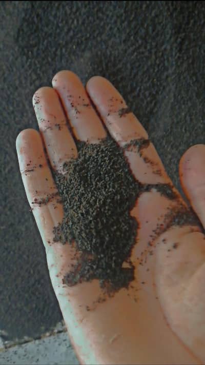 black tea (kolo tora chy)