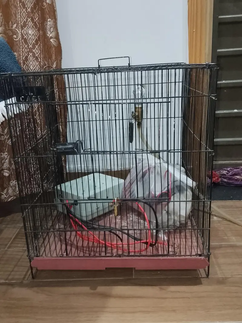 4by4 Cage | Better Condition — photo 2