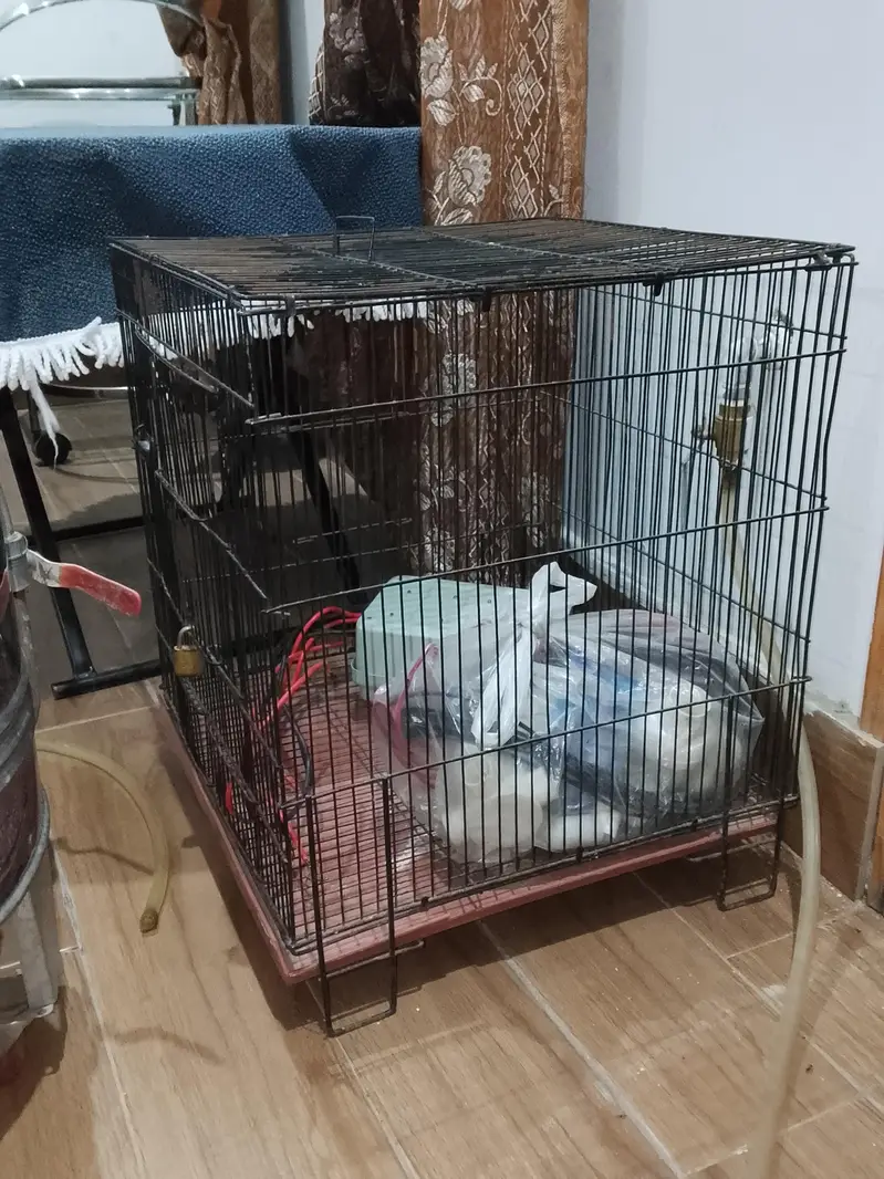 4by4 Cage | Better Condition — photo 4
