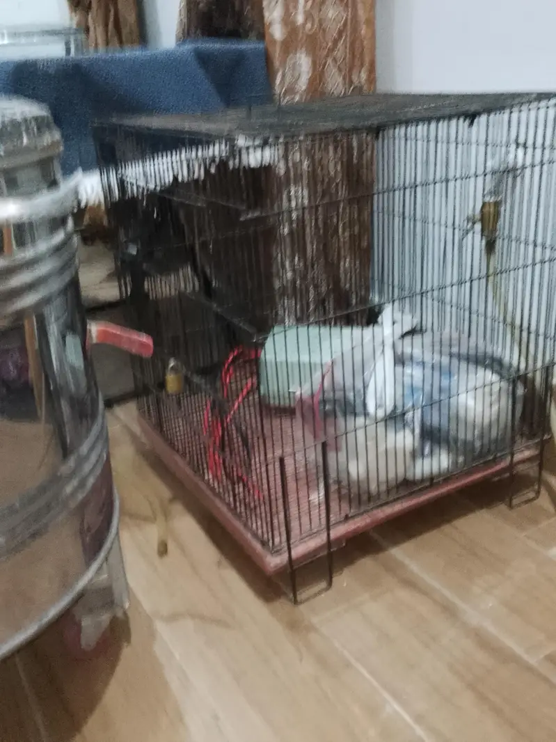 4by4 Cage | Better Condition — photo 5