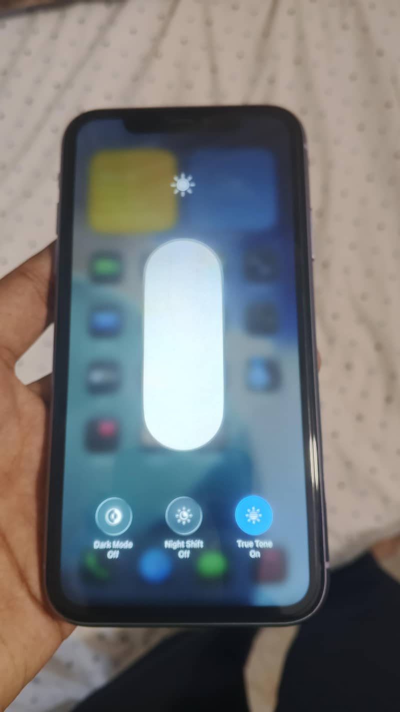 Apple iPhone 11 2