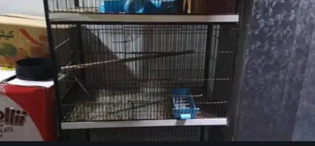 new Bird cage for breeding