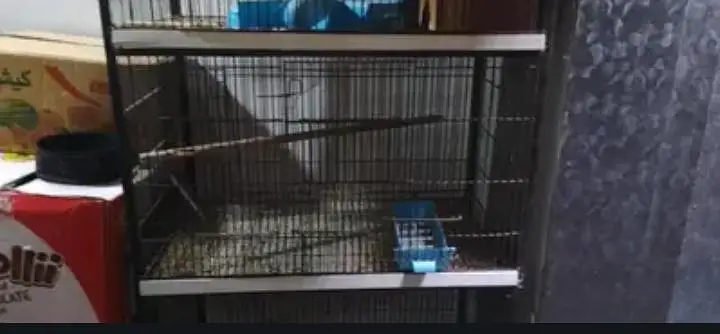 new Bird cage for breeding